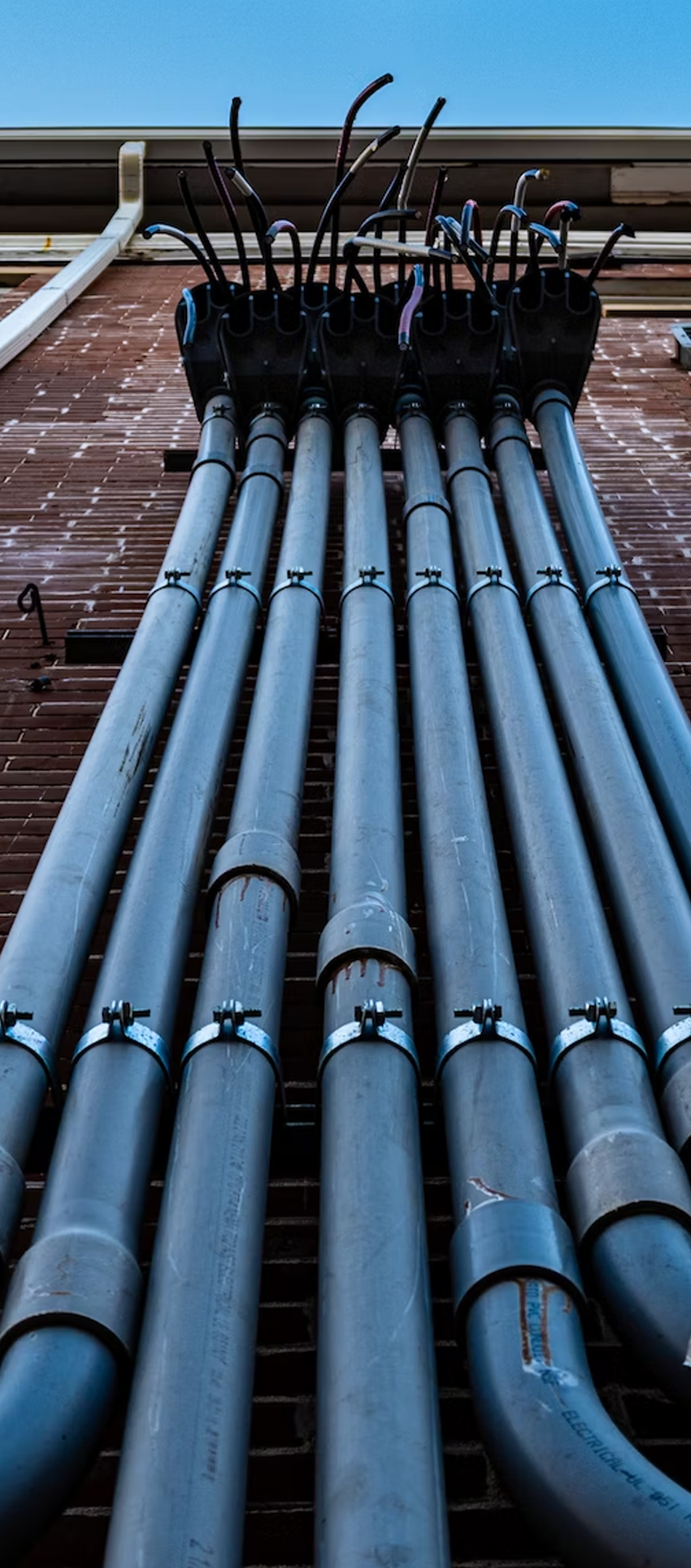 tailus contact screenshot